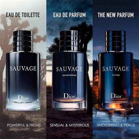 sauvage vs versace pour homme|sauvage eau de parfum.